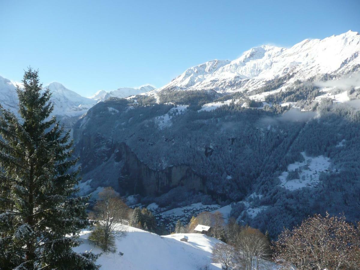 Holiday Flat #1, Chalet Aberot, Wengen, Switzerland Exteriér fotografie